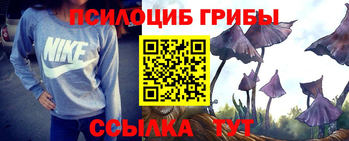 Галлюциногенные грибы Psilocybine cubensis  Вход с VPN  Избербаш  Псилоцибиновые грибы GOLDEN TEACHER 