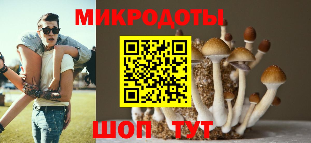 Галлюциногенные грибы MAGIC MUSHROOMS Избербаш